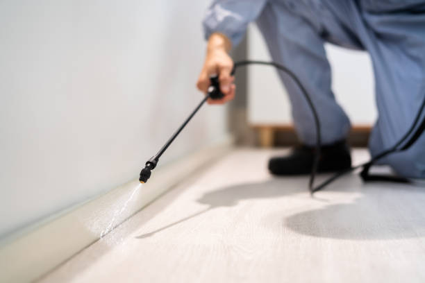 Licensed Cockroach Control service in Lockland, OH - Nex Pest Control